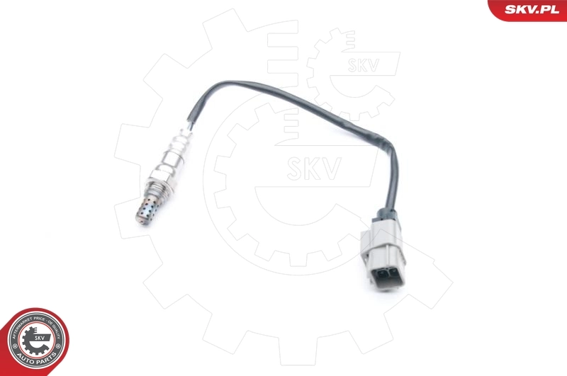 Oxygen Sensor